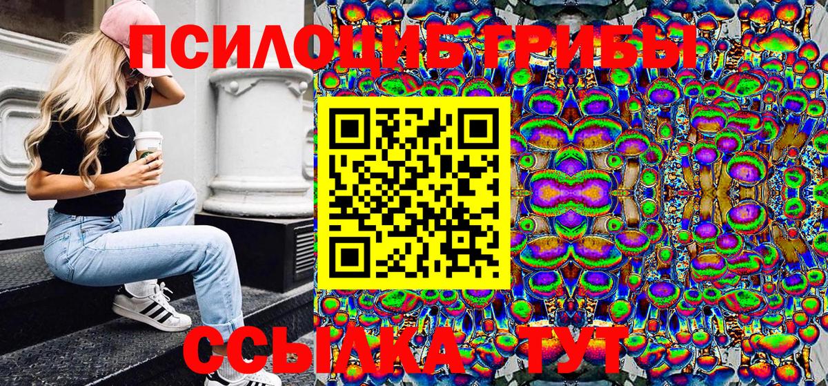 магазин продажи наркотиков  Псилоцибиновые грибы прущие грибы  Вход с VPN  Барабинск 